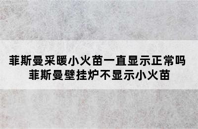 菲斯曼采暖小火苗一直显示正常吗 菲斯曼壁挂炉不显示小火苗